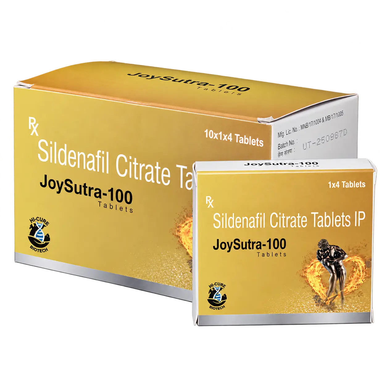 JOY SUTRA 100 - Image 4
