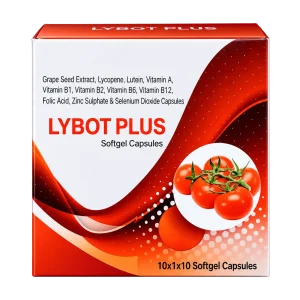 LYBOT PLUS