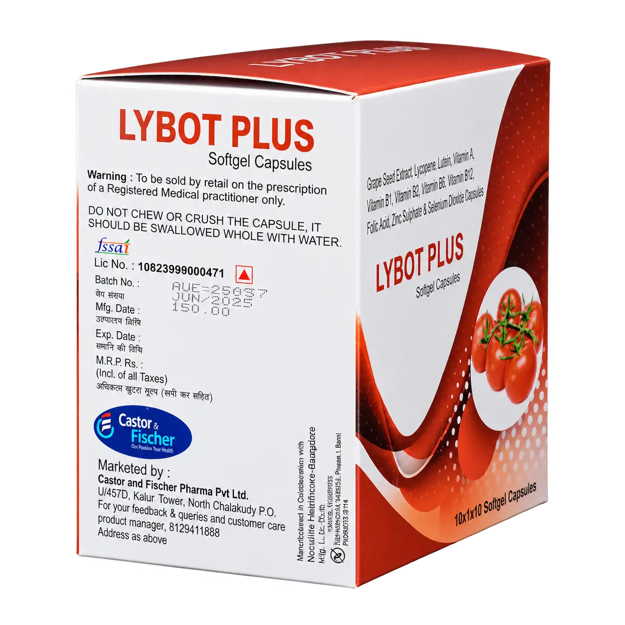 LYBOT PLUS - Image 2