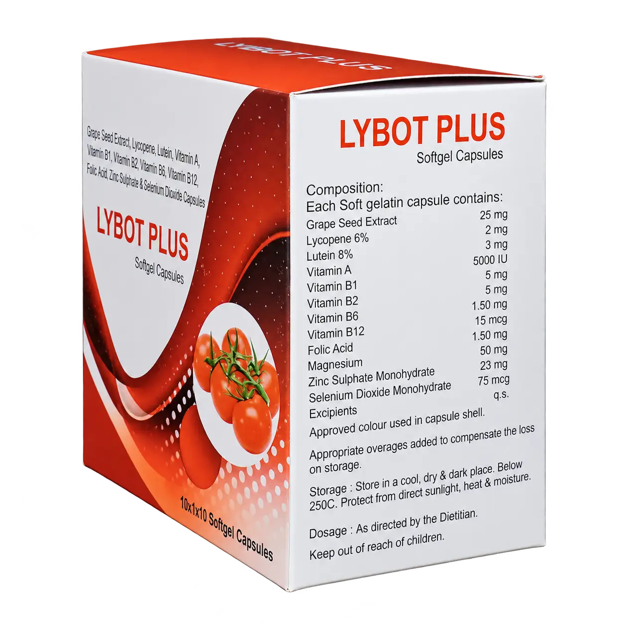 LYBOT PLUS - Image 3